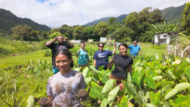 Smiling group of people walk through a lush tropical taro field, surrounded by green mountains, under a bright cloudy sky.